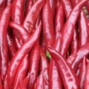 박용구농장 이미지