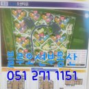 명지 엘크루블루오션(C2) 이미지