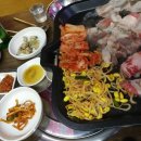 황금돈돼지 이미지