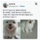온식구 이미지