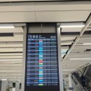 재희네꼬마김밥 | 꿈 나의 청춘이여, 너른 벌 희망의 품이여 / 2025 K리그1 직관 후기 32R 대전하나시티즌 vs 포항스틸러스