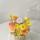 온화앤유 이미지