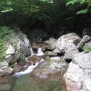 심원자연 이미지