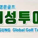 대성여행사 이미지