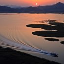 순천만 갈대밭 이미지