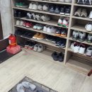 천가네볼태기 이미지