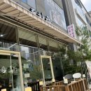 도향 | 강릉 간짜장 짬뽕 맛집 도향 내돈내산 후기