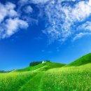 영화 속 삶의 의미 찾기 이미지