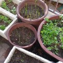 기로(여)경로당 이미지