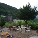 웰빙 오골계세상 이미지