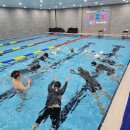 타잔 B&G 어린이 수영장 | 타잔 B&amp;G 어린이 수영장 원주점_ 단관초등학교