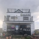 제주 조천 : 제주드림농원 감귤체험 후기