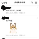 레게노(LEGENO)