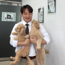 선효 | 대전에서 강아지와 함께 출근하는 사무실의 비밀