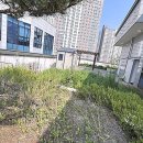 똑똑 애견유치원 이미지