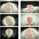 복덩어리PC 네이버블로그