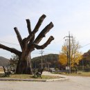 고달선원 | 여주 고달사지(驪州 高達寺址)