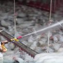 이용식농장 이미지