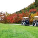 초원골프 이미지