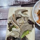 선학모밀