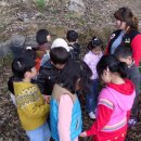 바다유치원 이미지