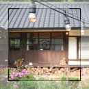 꽃피는 무릉도원 이미지