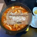 정든닭발 | 율전동 맛집 정든닭발 성대점 방문 후기 수원 맛있는 술집 추천