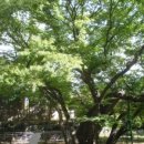 목인공인중개사사무소 이미지