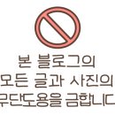 영희의 정원 이미지