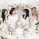 도림축산 이미지