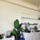 제주바개트 이미지