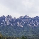 산촌한우직판장 네이버블로그