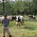 조은목장 이미지