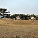 영신군 이이묘 이미지