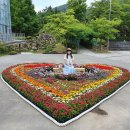 오작교작은도서관 | 부산 화명수목원 전망대까지 탐방후기