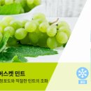 플렉스샾 이미지