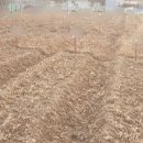 둔둔농장 이미지