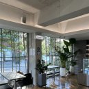 고색애견 이미지