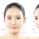 선헤어라인 이미지