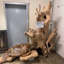 알로에테마파크 | 예술정원 1999 자연예술테마파크 포천 관광지 실내가 볼만한 곳 아이랑