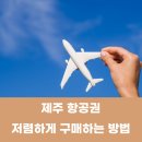 알지니포레스트 이미지