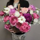 더플로라 이미지