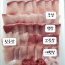 감포어시장 이미지