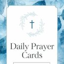 캔바 &amp; 미리캔버스 이미지