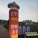 서사리 솥뚜껑 333