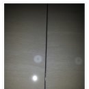 레이화 이미지