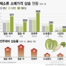 가락시장할인마트 이미지