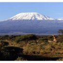 킬리만자로 이미지