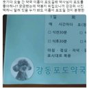 포도약국 Daum카페