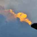 크로스핏 뉴젠 | [일상] 크린이의 수원 화서동 크로스핏 스프링캠프 드랍인 후기